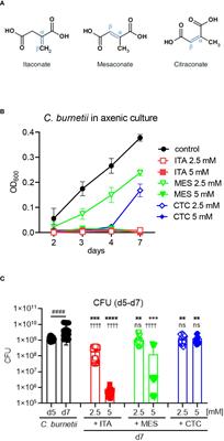 Divergent effects of itaconate isomers on Coxiella burnetii growth in macrophages and in axenic culture